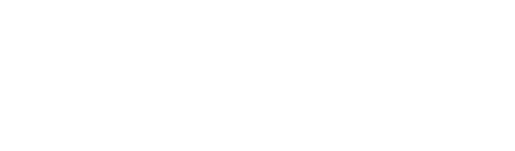 Metrorus Logistics